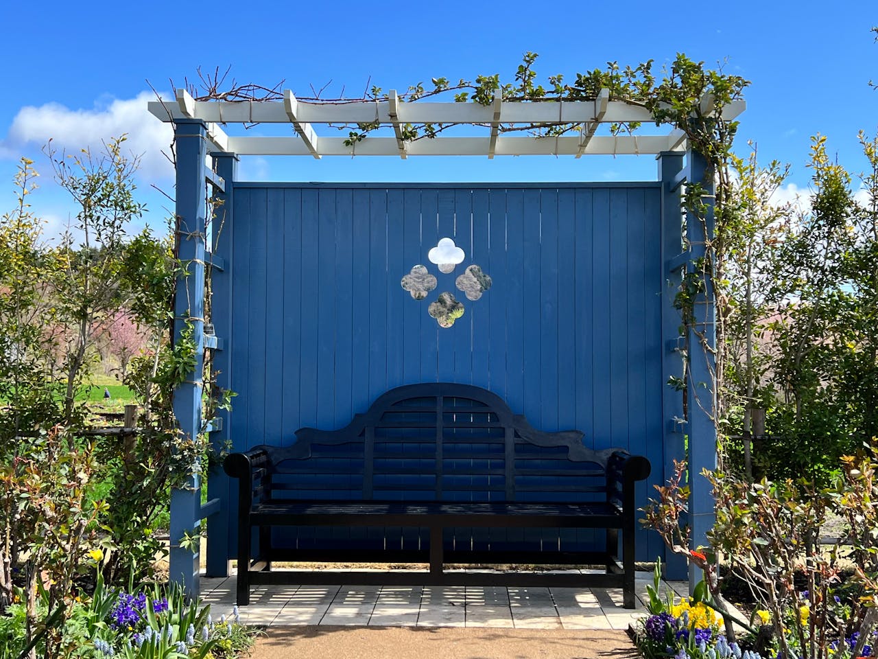 An empty bench under a floral pergola in a sunny garden, showcasing fresh blooms and greenery.
