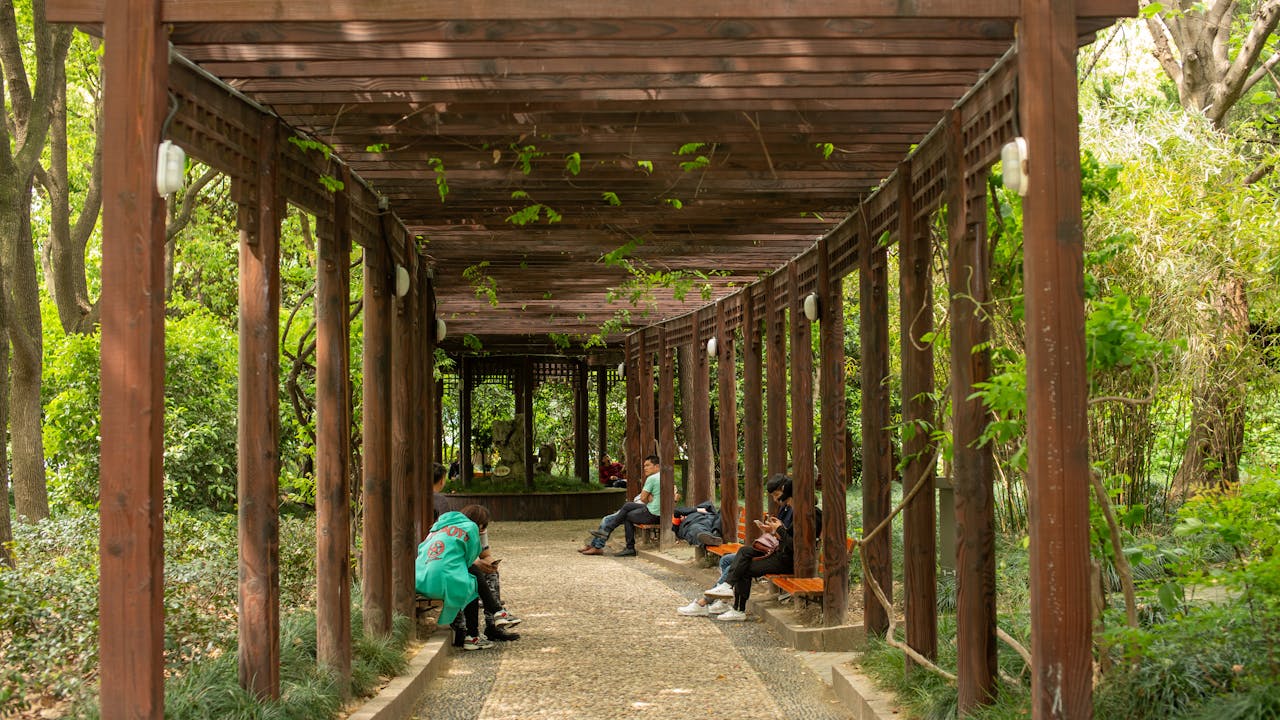A tranquil scene under a pergola in a Shanghai park with people relaxing.